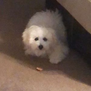 Meet your Posher, Cami